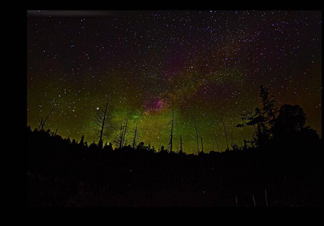 CRC 1489 Reproduction