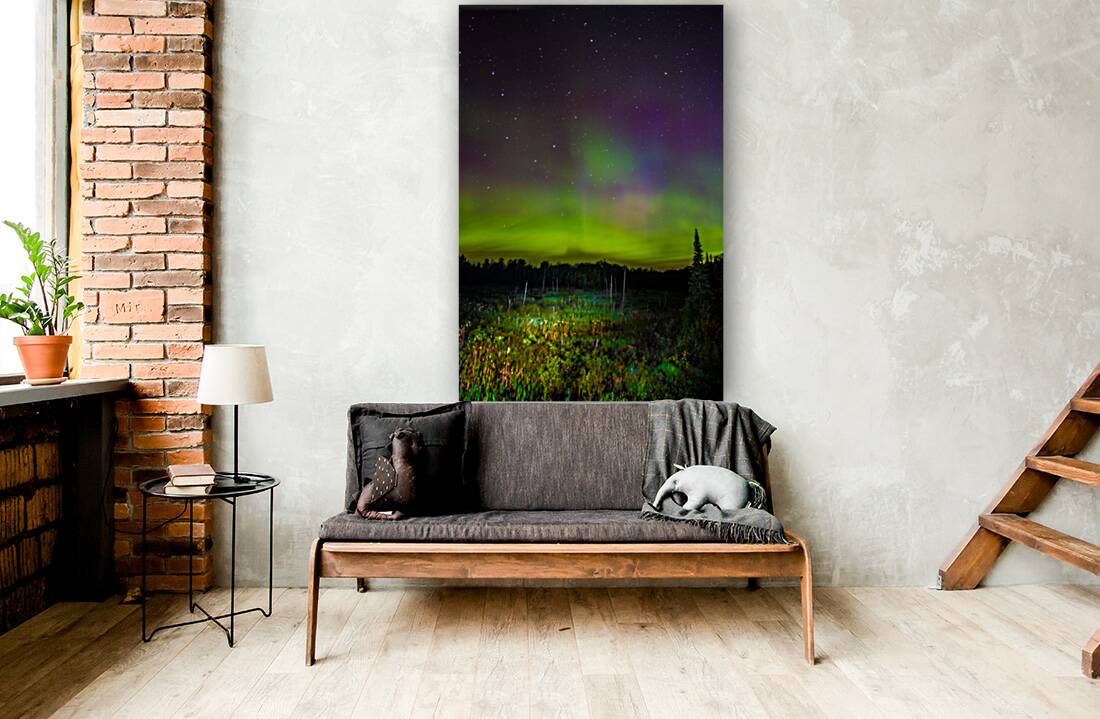 JBS 2348 Reproduction