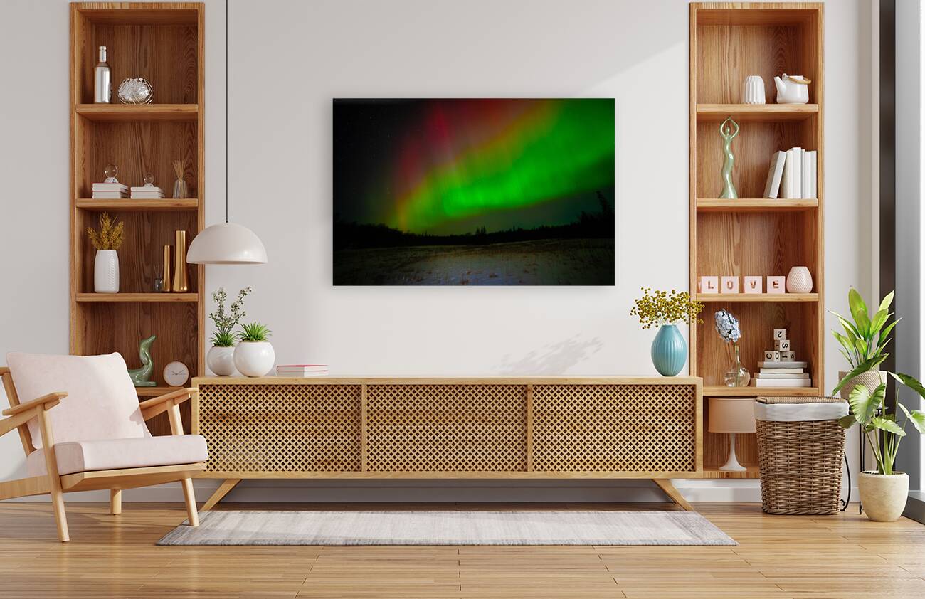 DSC 4379 Reproduction