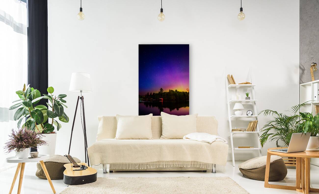 JBS 3488  Reproduction