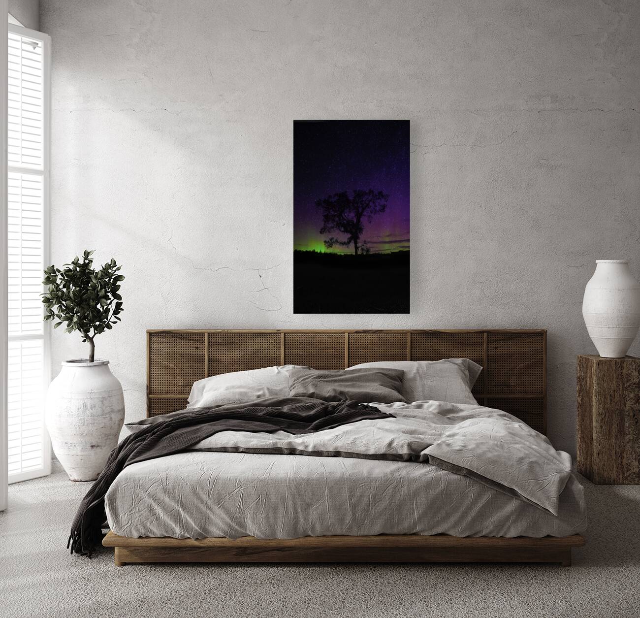 JBS 3509  Reproduction