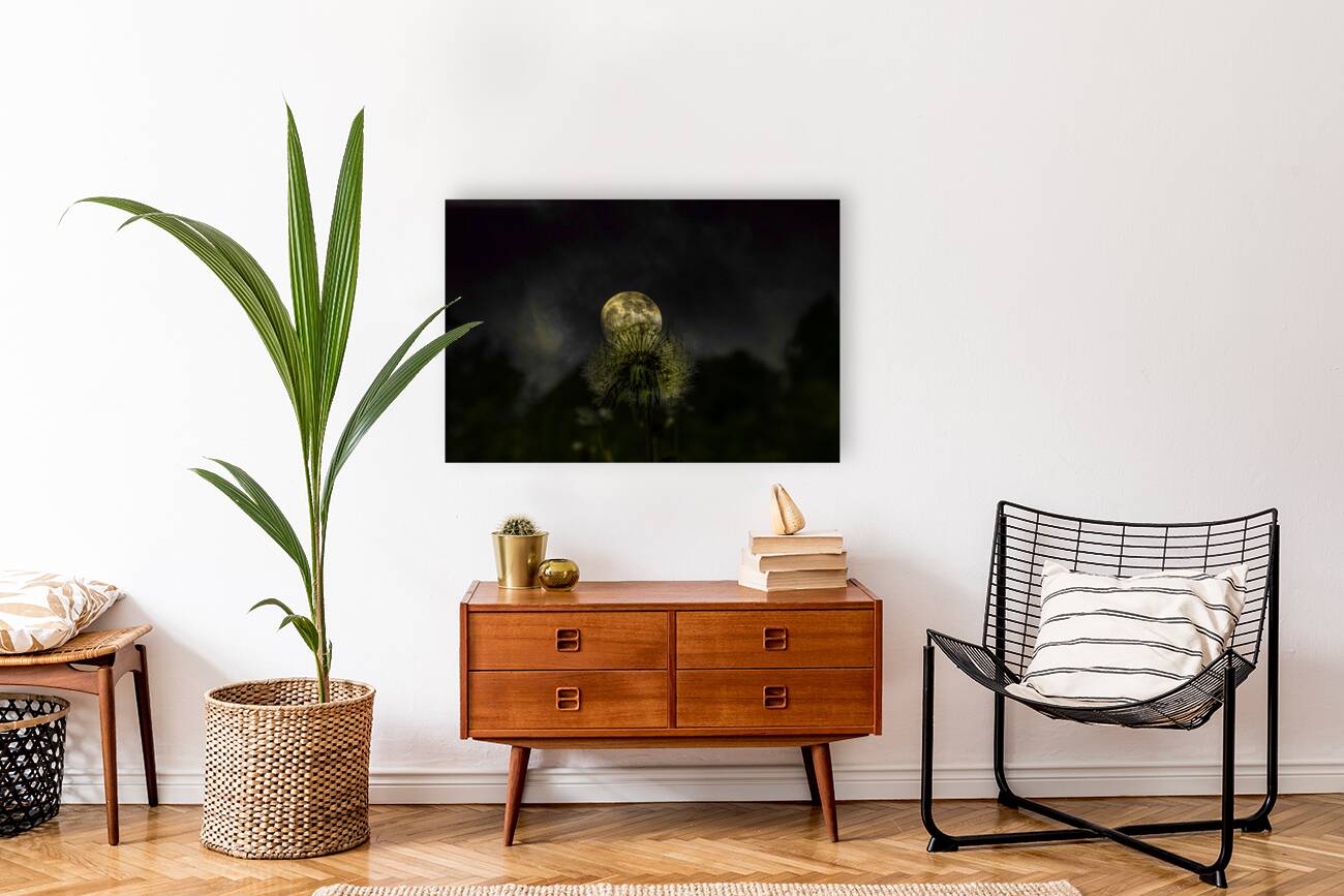 JBS 4984 1 Reproduction