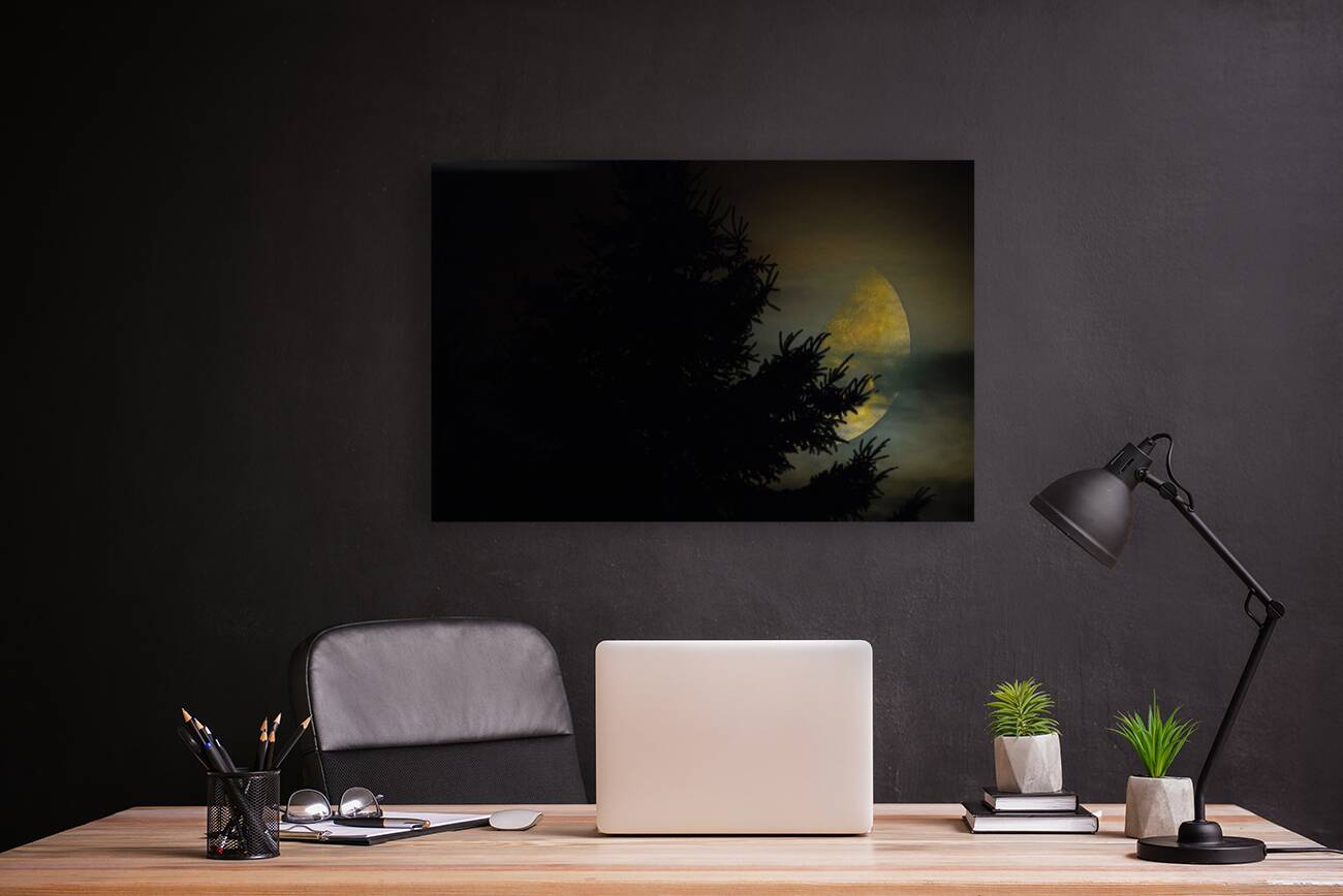 JBS 9933  Reproduction