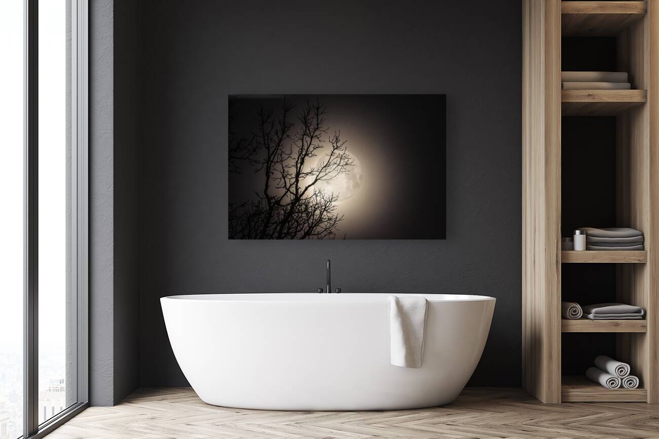 JBS 59702 Reproduction