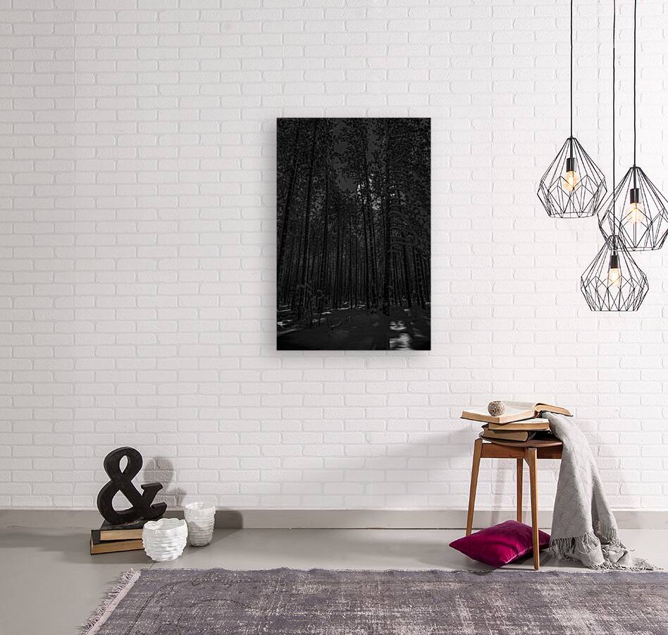 NIGHTWOODS Reproduction