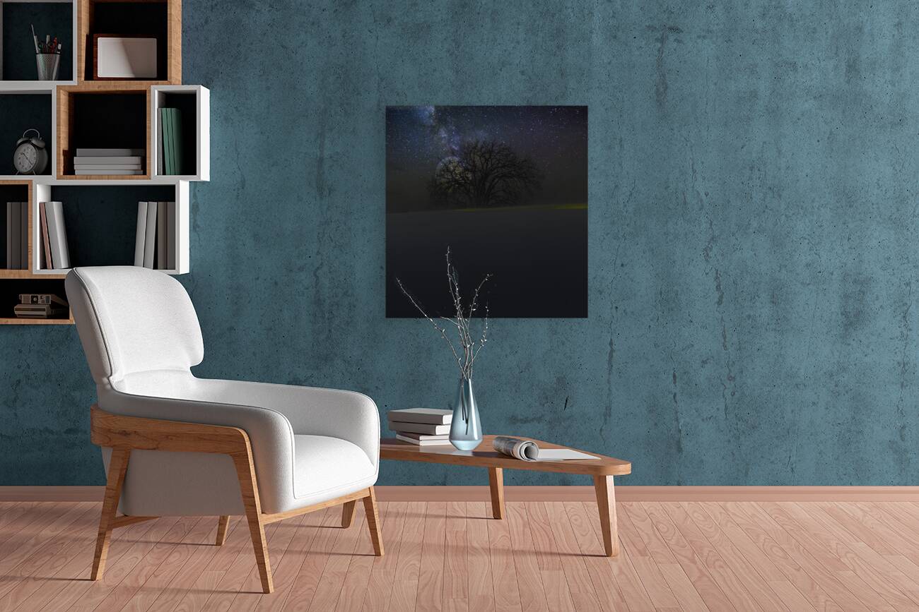 JBS 6098  Reproduction