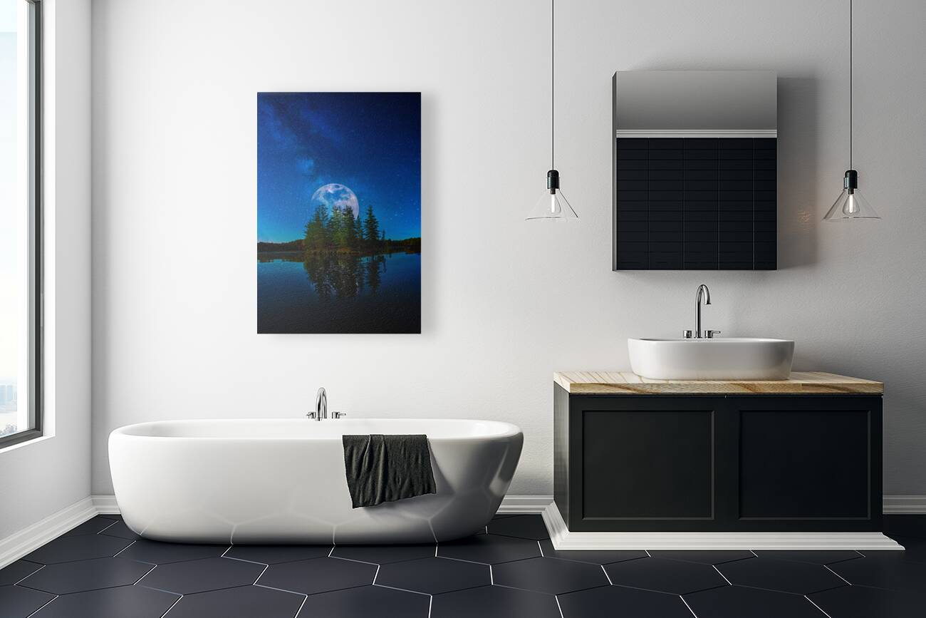 JBS 4810  Reproduction