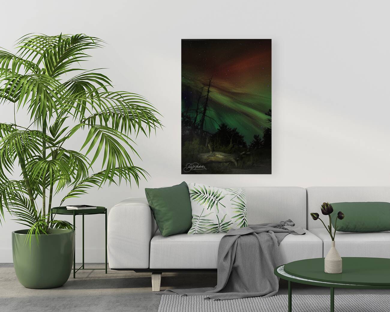 JBS 5620  Reproduction