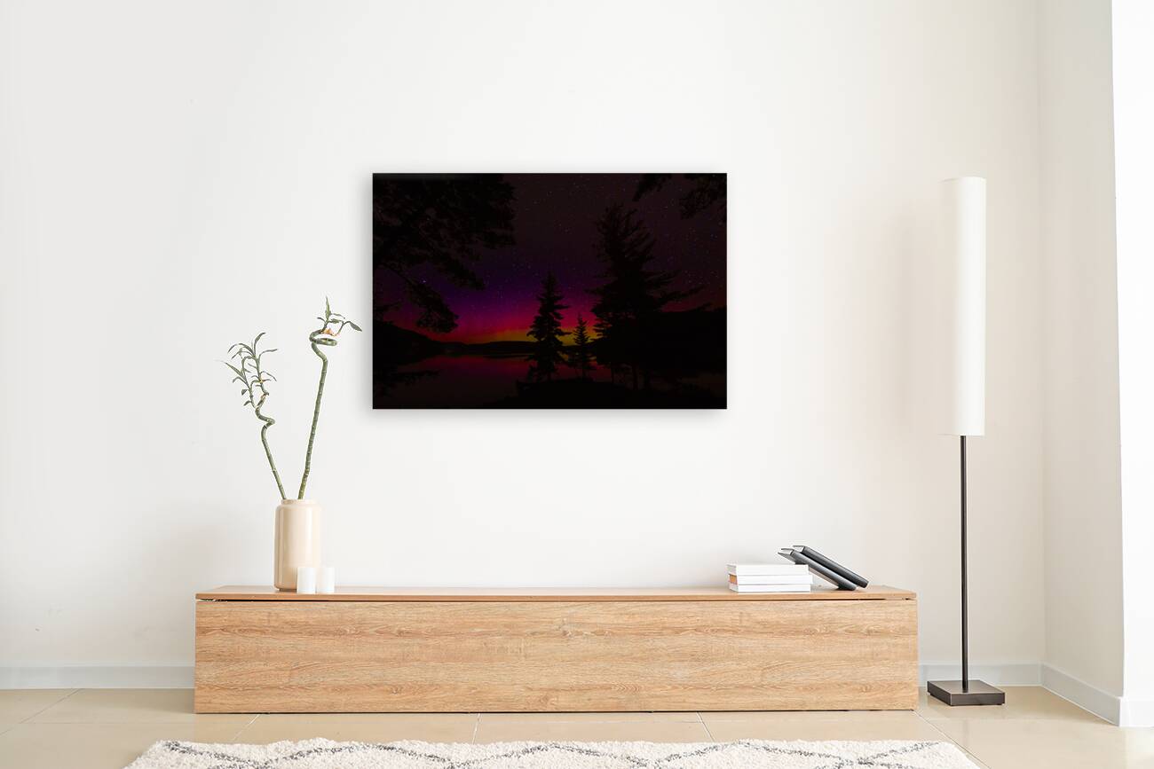 JBS 6258  Reproduction