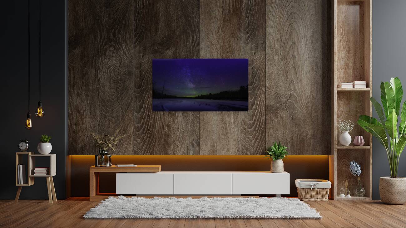 JBS 342711 Pano Reproduction