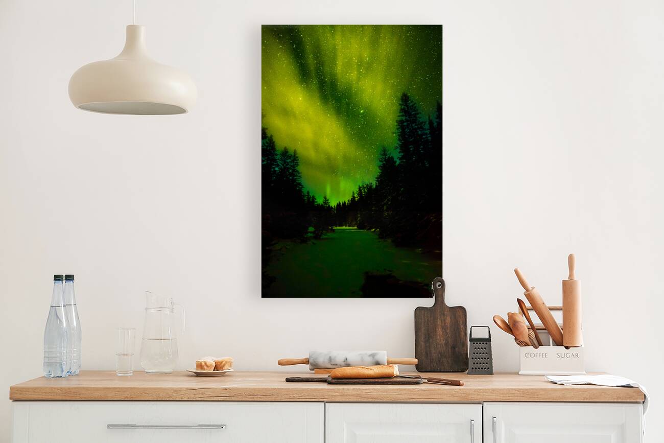 JBS 6014ng  Reproduction