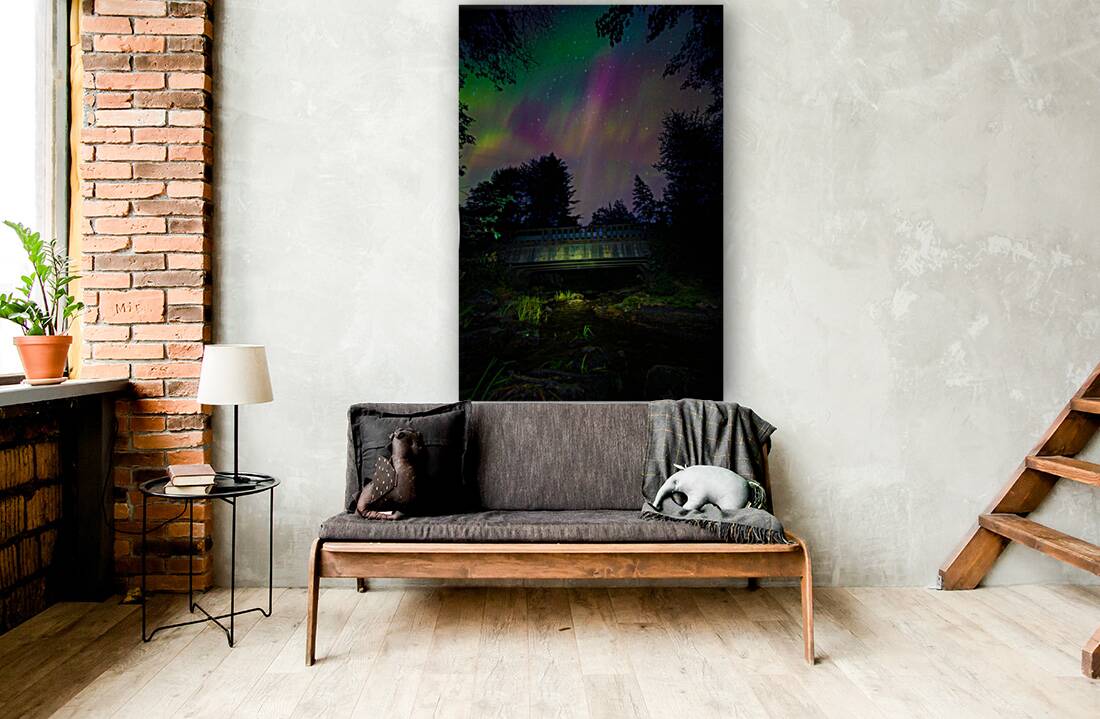 JBS 6232  Reproduction