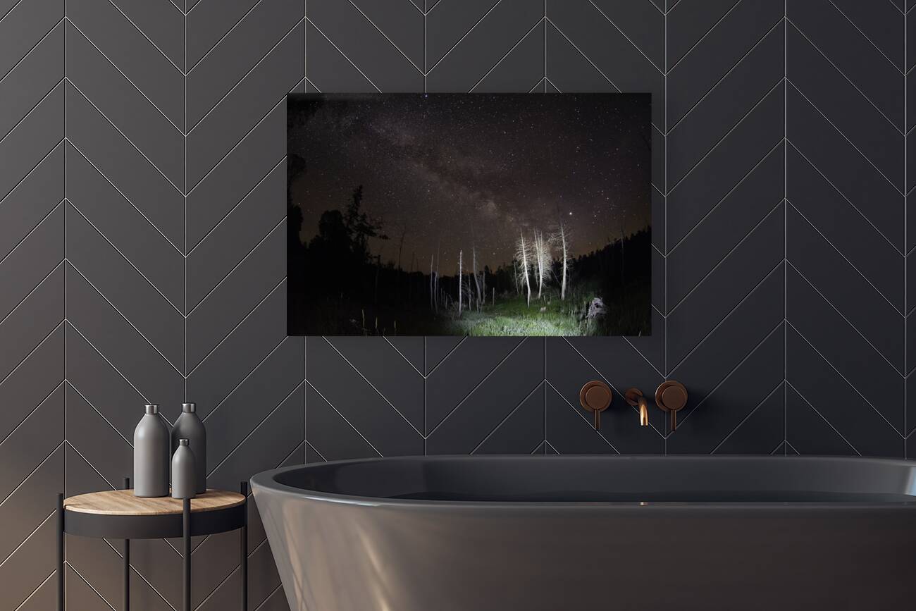 CRC 1492 Reproduction