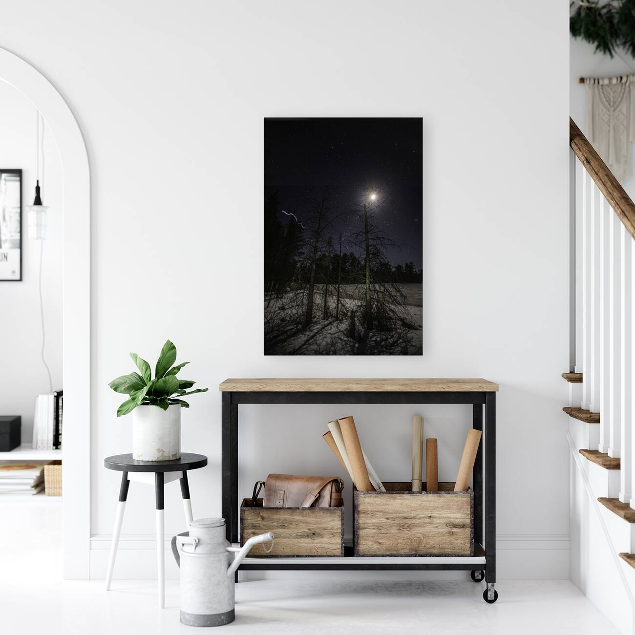 JBS 0579  Reproduction