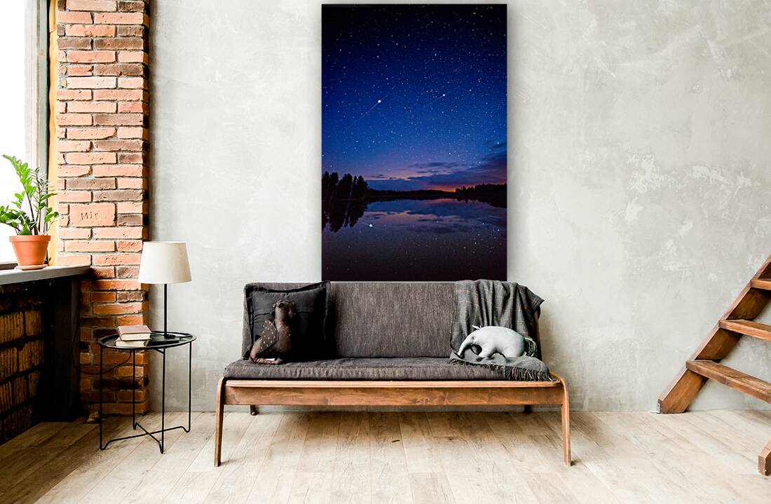 JBS 0183  Reproduction