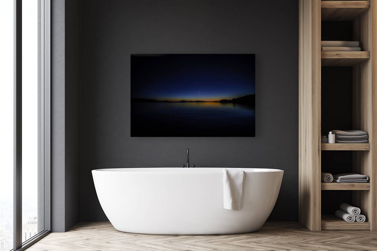 JBS 2454  Reproduction