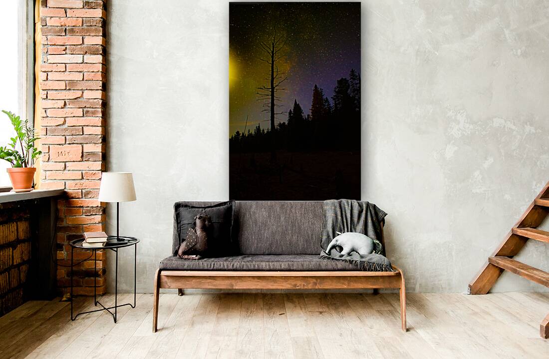 JBS 3723 Reproduction