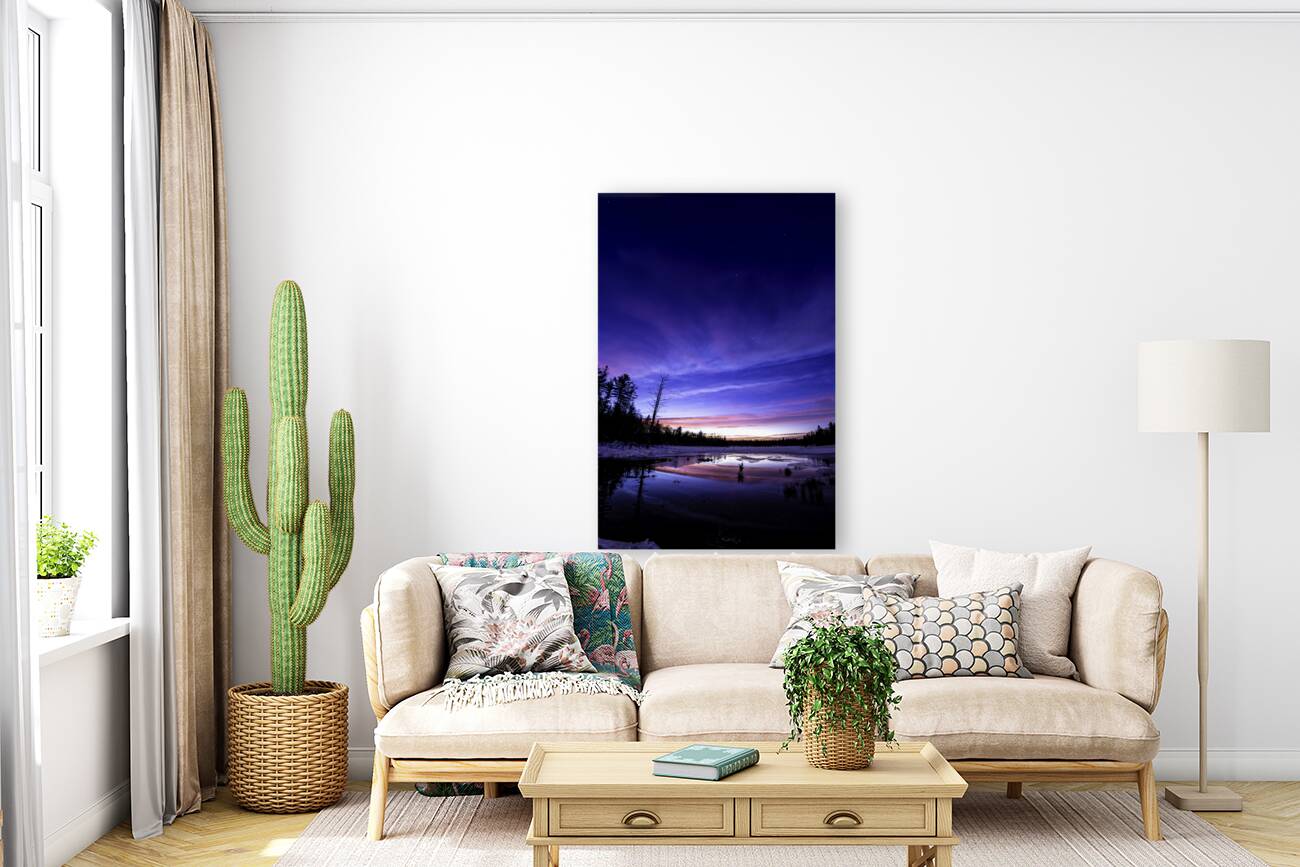 JBS 3319 Reproduction