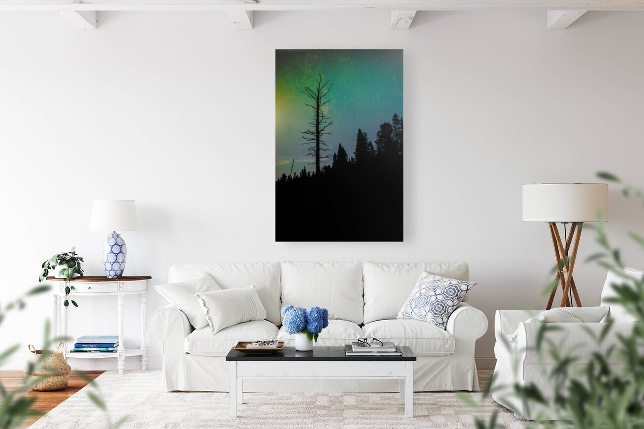 JBS 3718 Reproduction