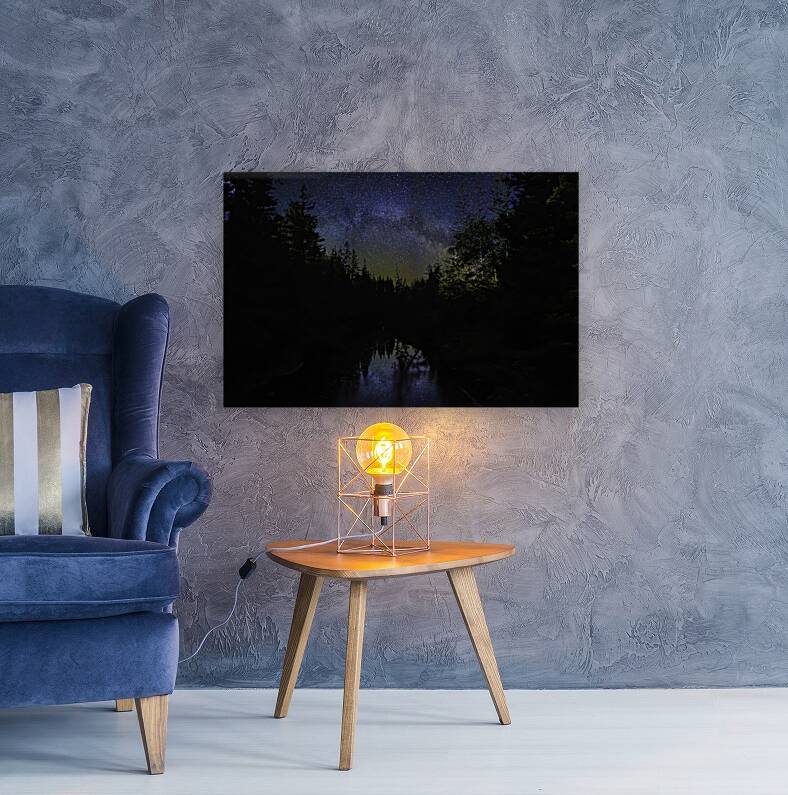 JBS 2748 Reproduction