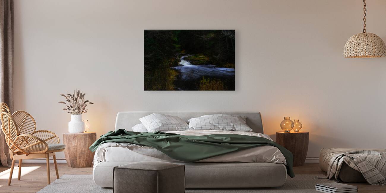 JBS 4248 Reproduction