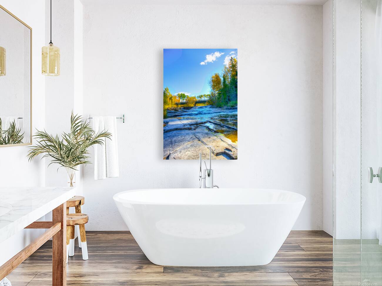 JBS 6991 Reproduction