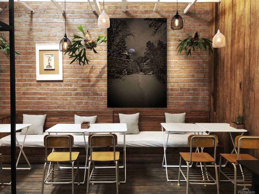 Z62 0235 Reproduction