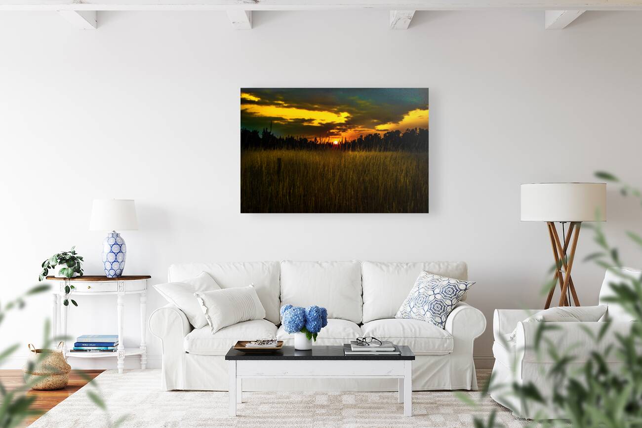 JBS 5786 Reproduction