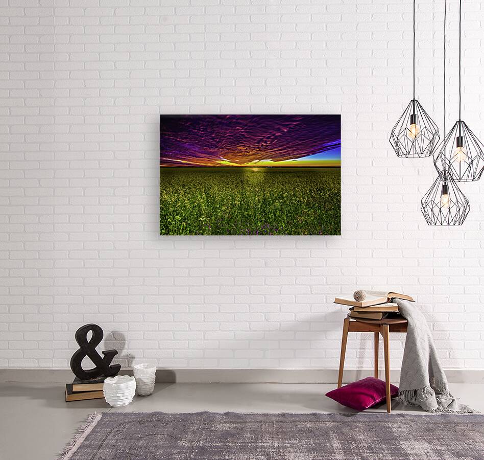 JBS 3554 Reproduction