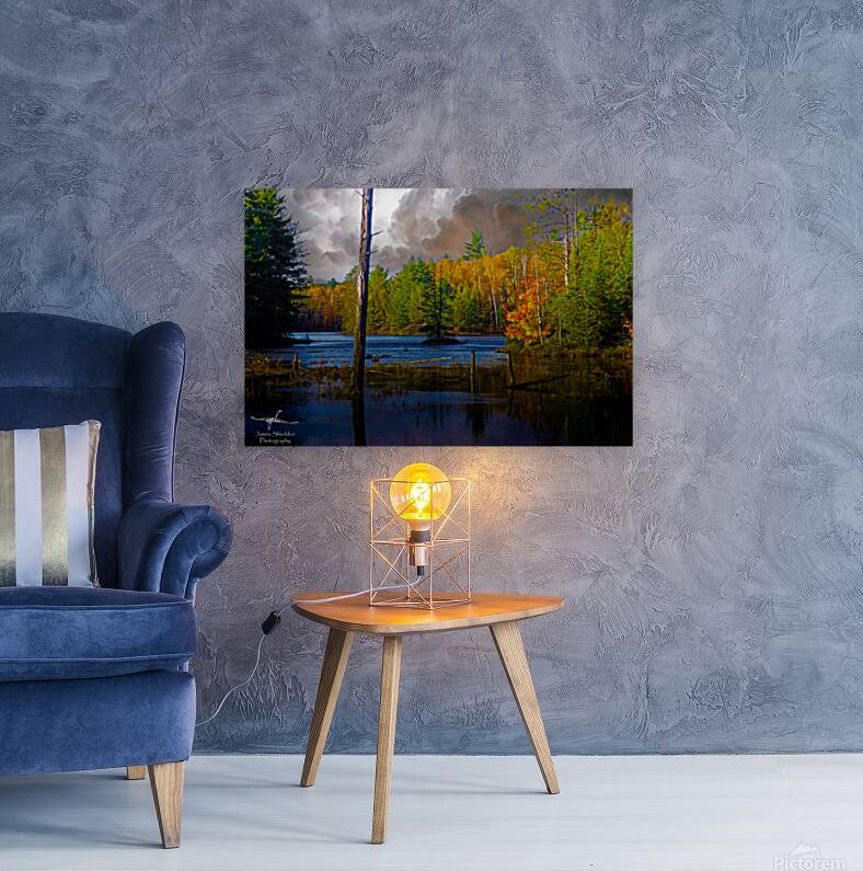  JBS4221 Reproduction