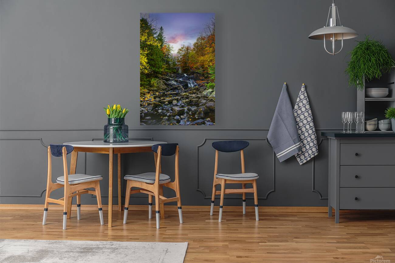 ZJS 5785 Reproduction