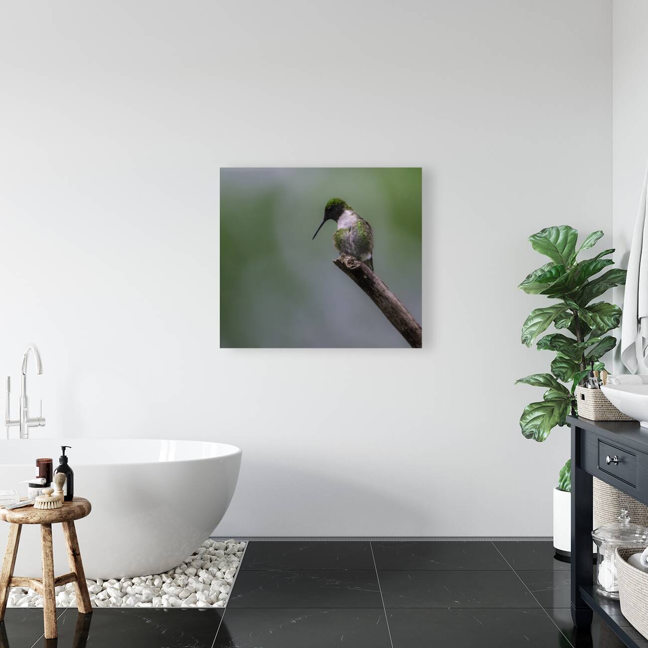 JBS 1233 Reproduction