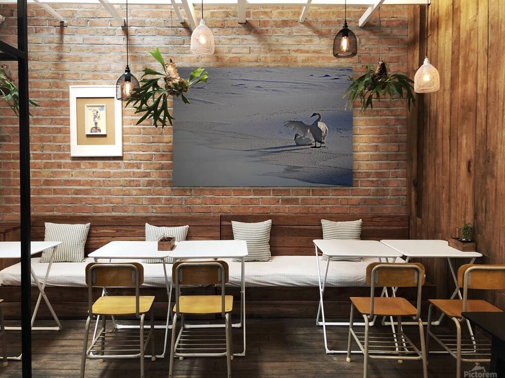 DSC 5806 Reproduction