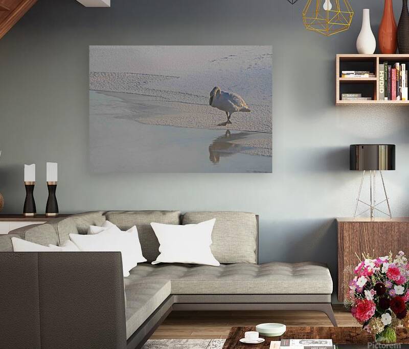 DSC 5823 Reproduction