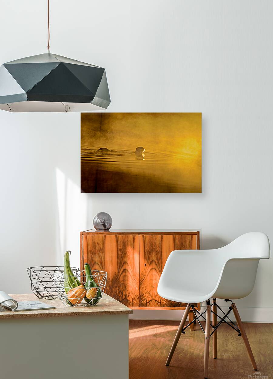 DSC 1717 Reproduction