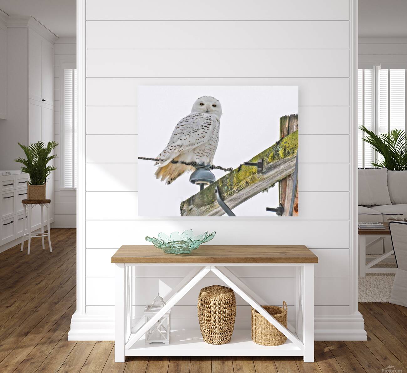 DSC 1876 Reproduction