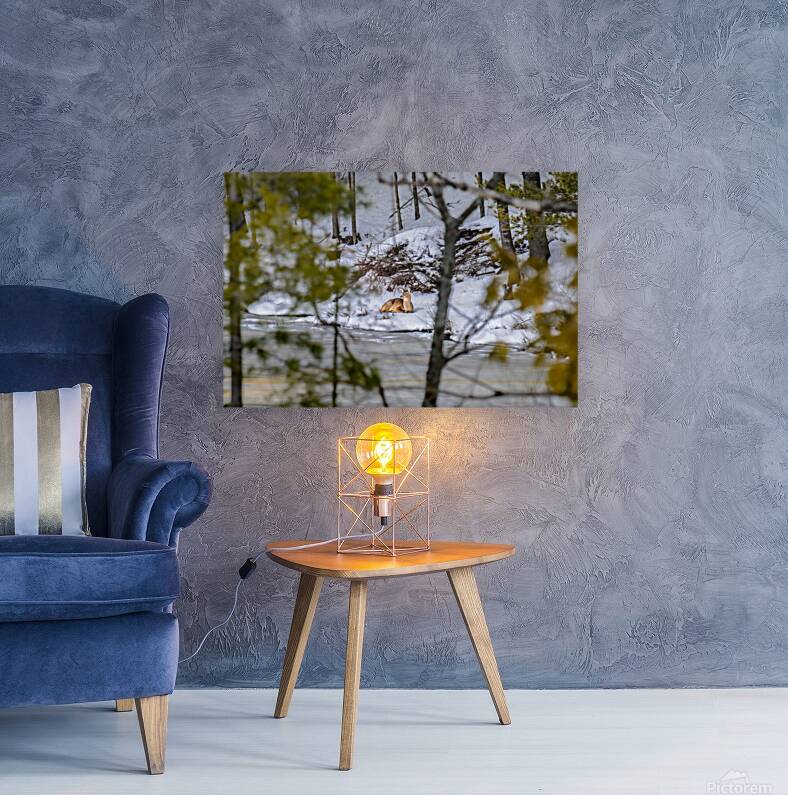  JBS5840 1 Reproduction