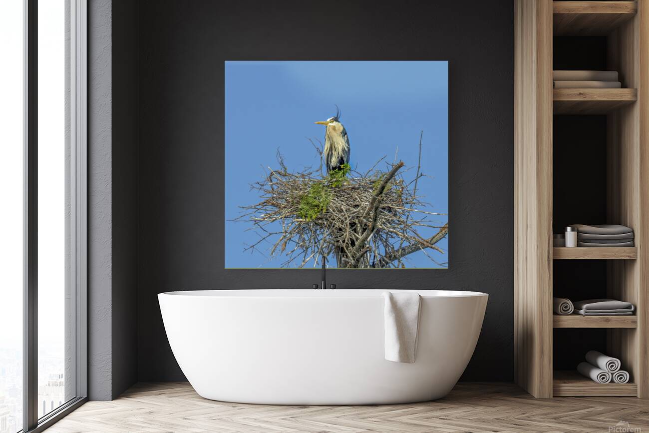 JBS 0860ED Reproduction