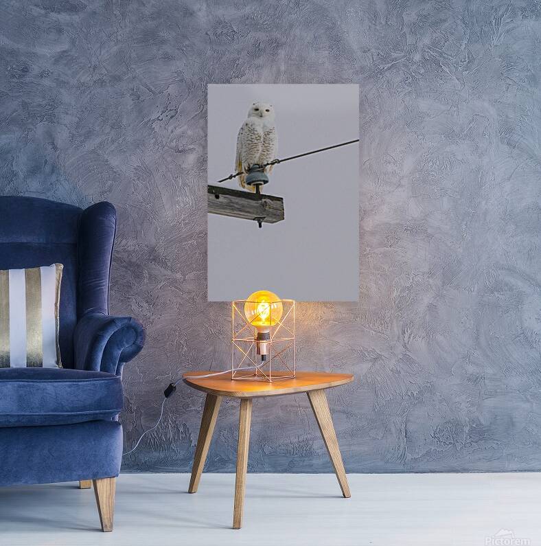 DSC 1897 Reproduction