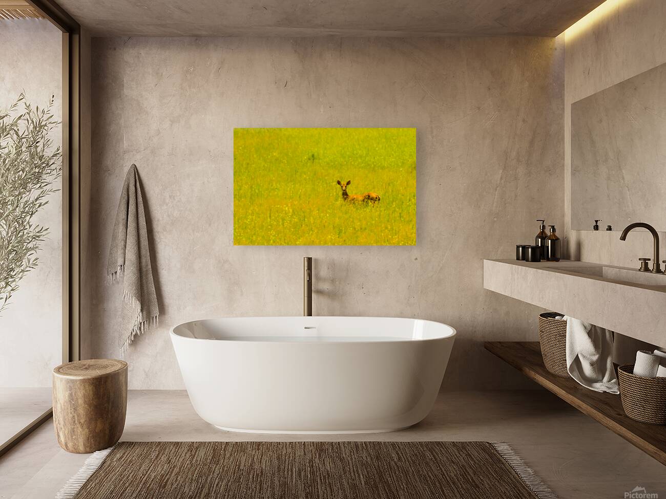 JBS 3007 Reproduction