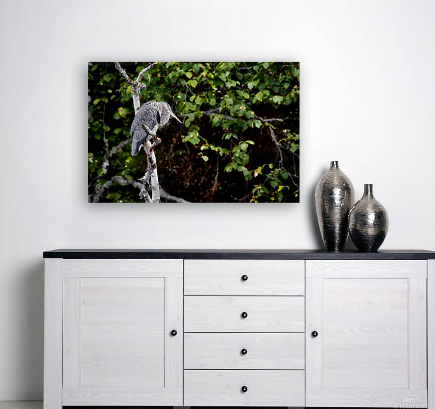 JBS 3072 Reproduction