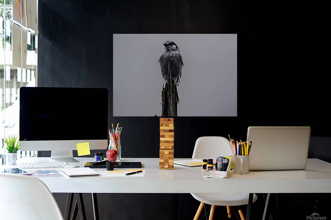 JBS 3105 Reproduction