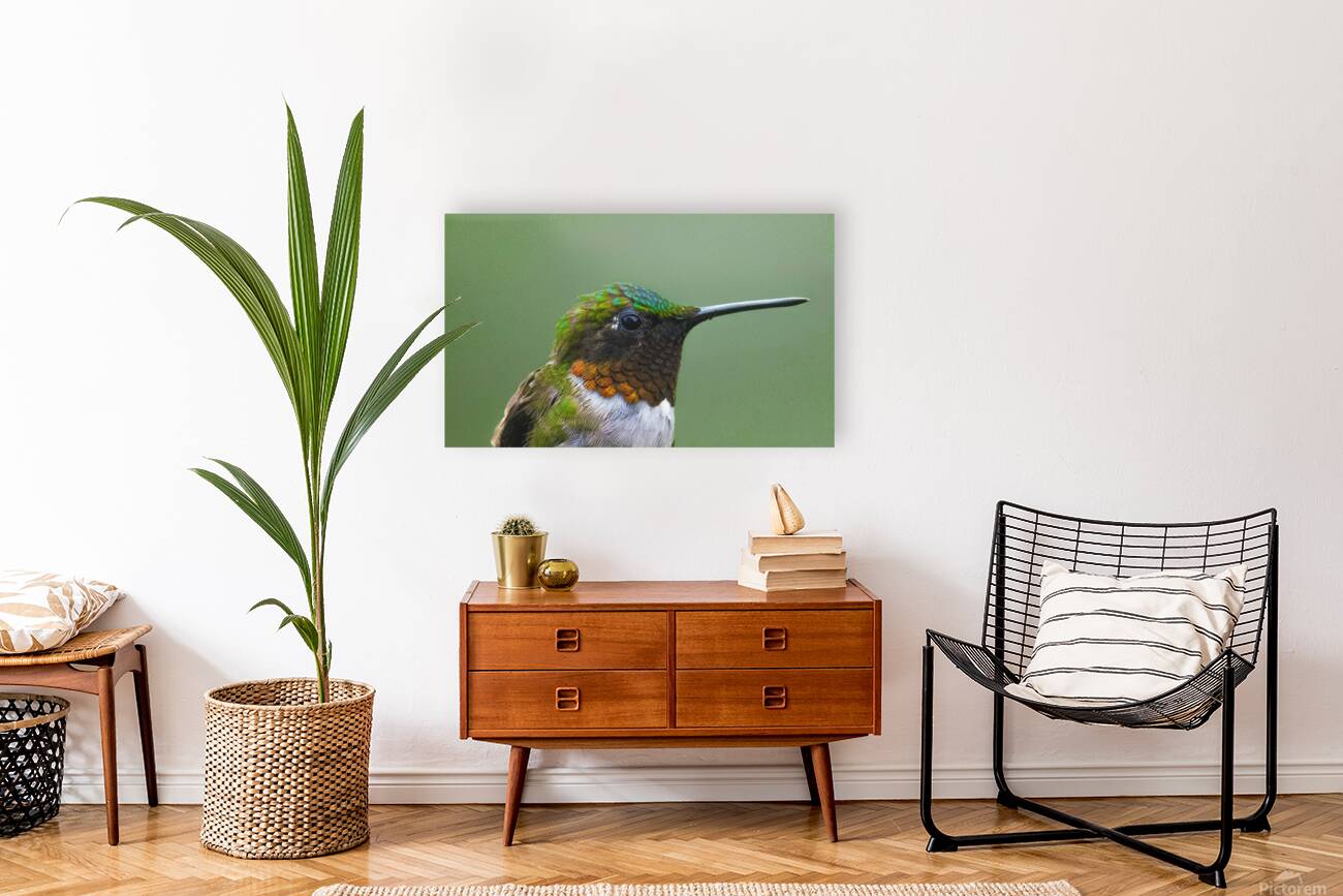 JBS 4152 Reproduction