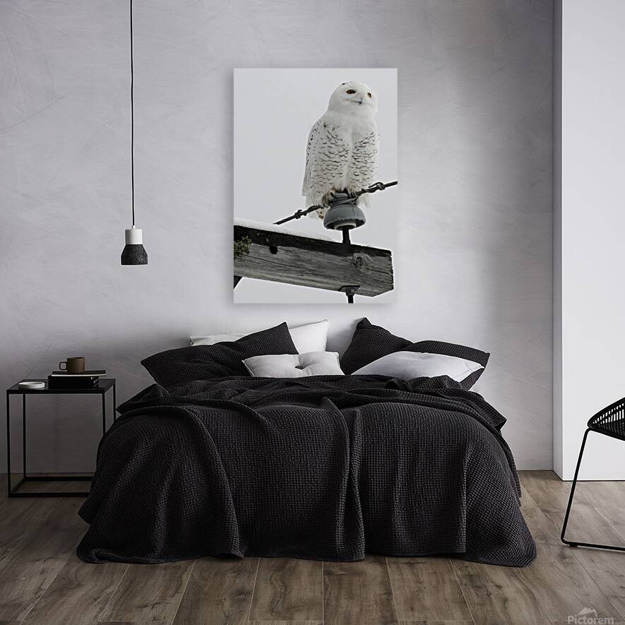 DSC 1902 Reproduction