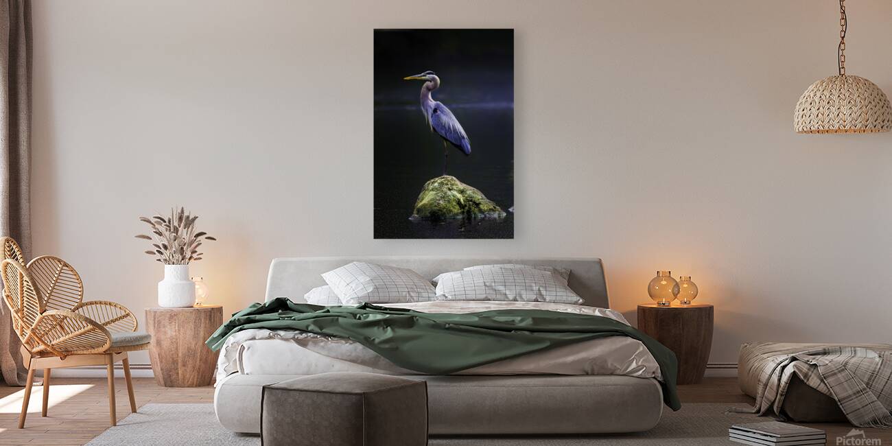 JBS 1706 2 Reproduction