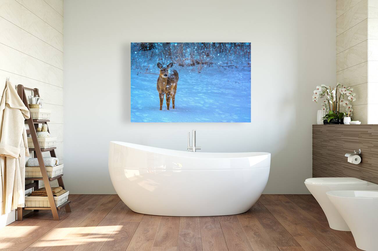 JBS 0395 Reproduction