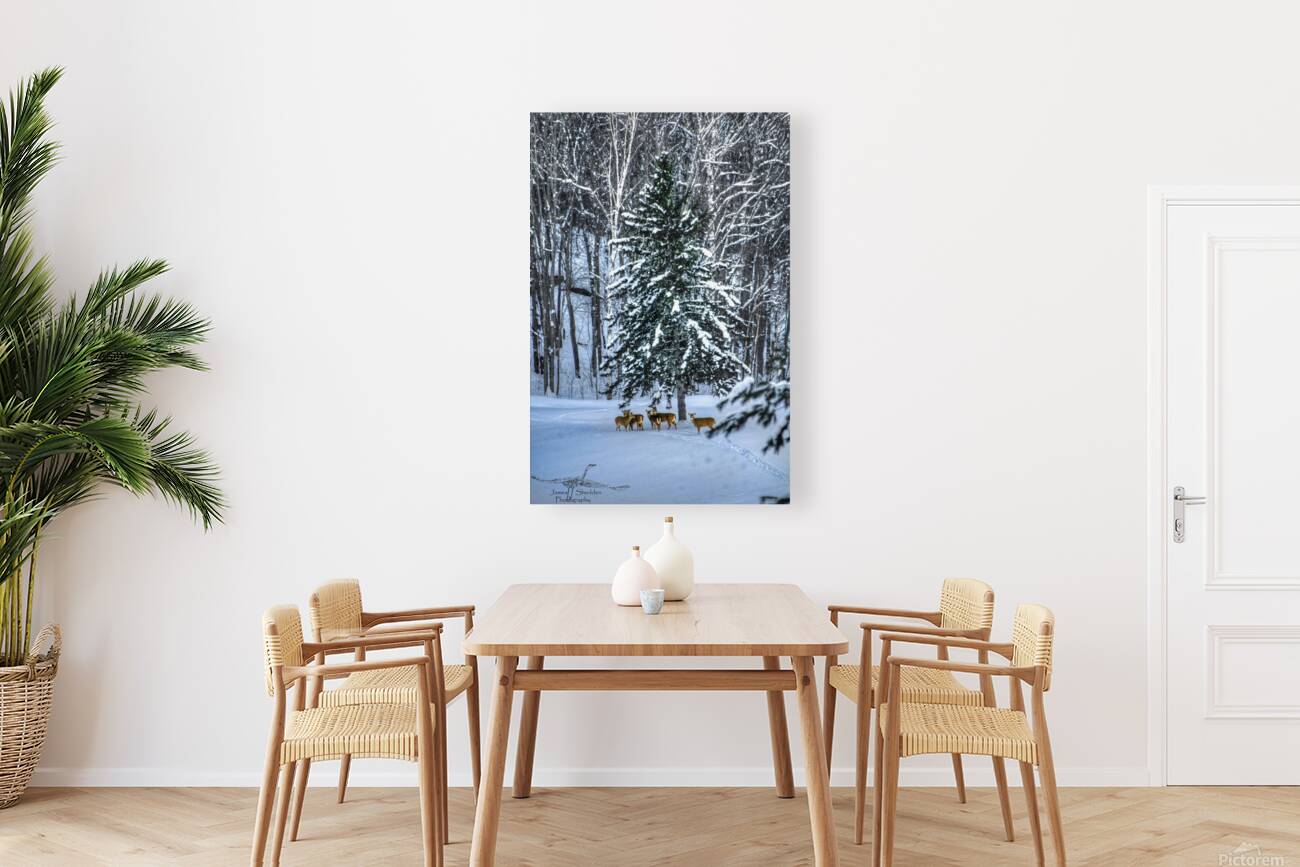 DSC 5638 Reproduction