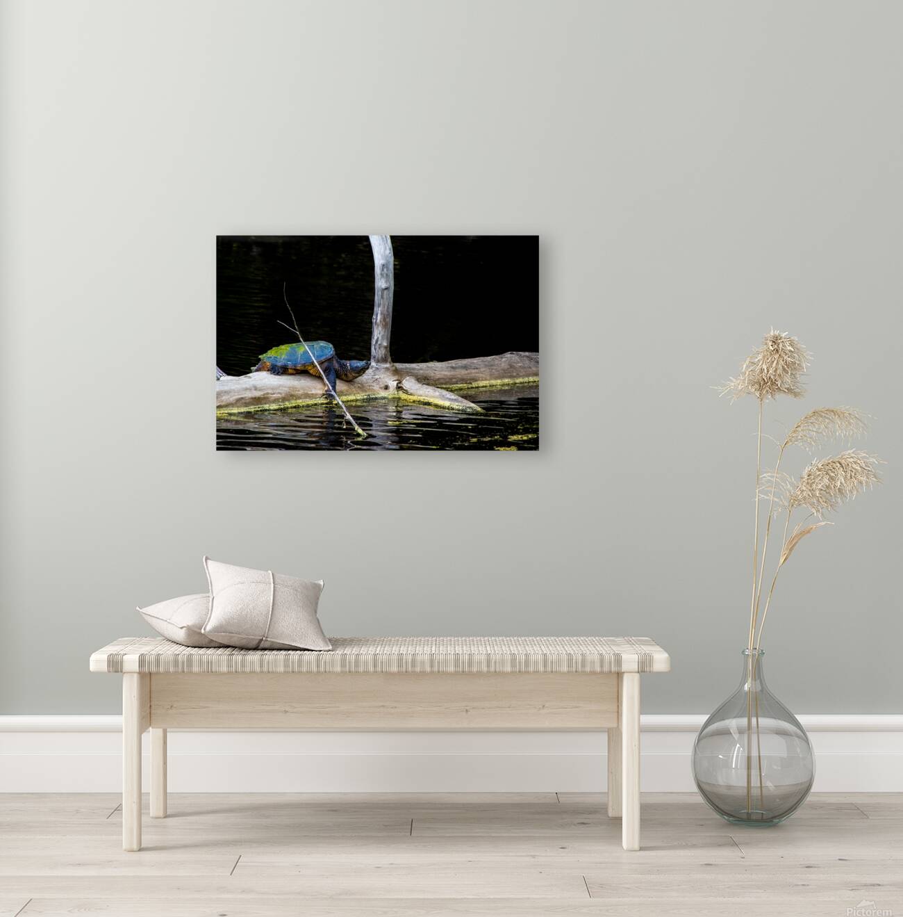 JBS 1007 Reproduction