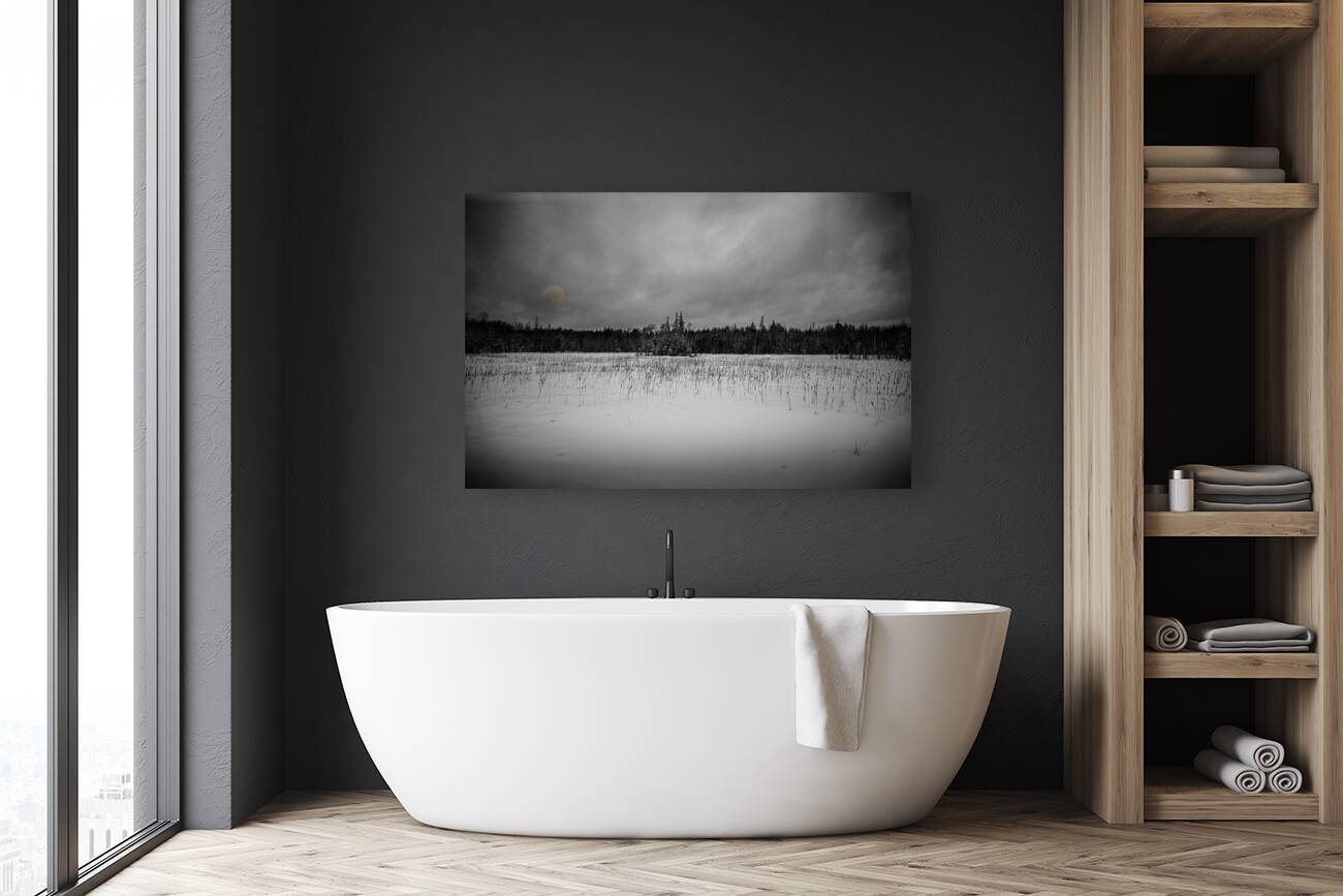 ZJS 9284 2  Reproduction