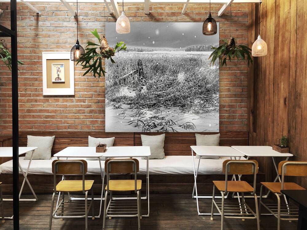 JBS 4080 Reproduction